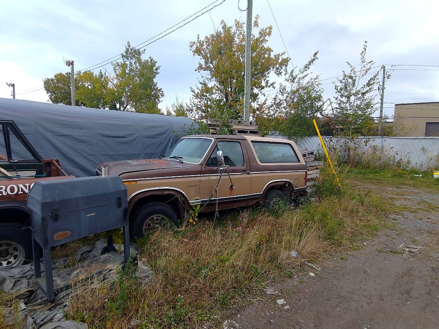 Ford Bronco brun et beige vu de côté, stationné dans les herbes