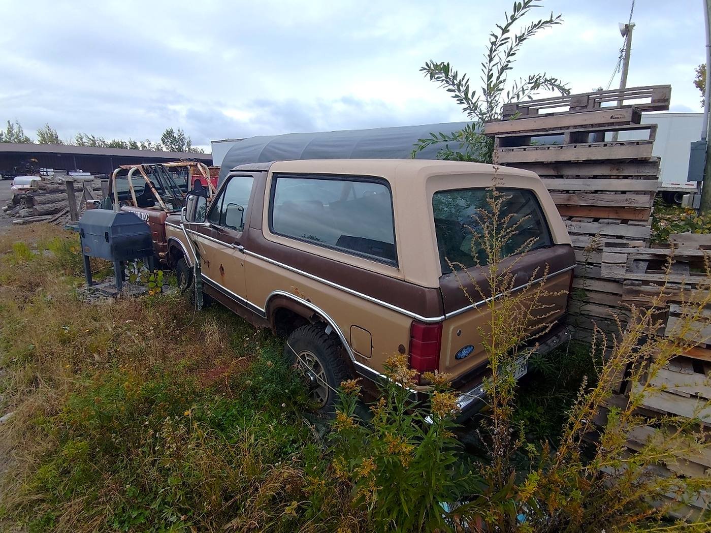Arrière d'un Ford Bronco deux tons entouré de végétation et de palettes